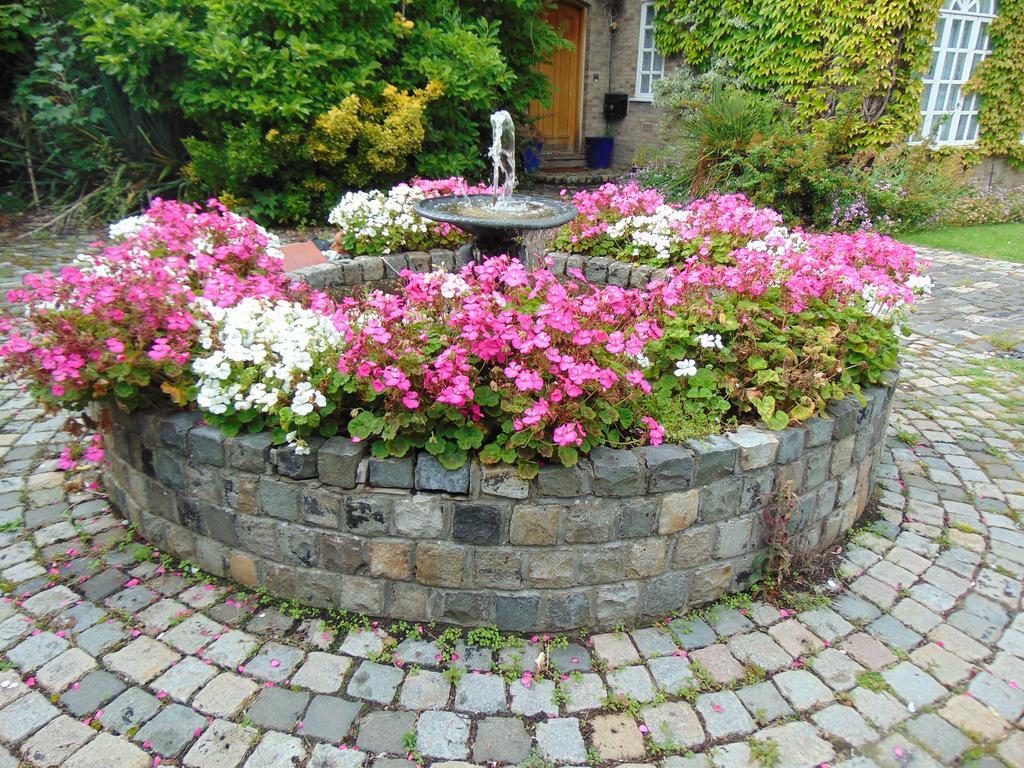 Roseview B&B Rhyl Eksteriør billede